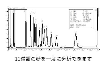 分析例